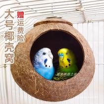 Birds Nest Coconut Shell Parrot Birds Nest Pet Warm Straw Nest Tiger Skin Peony Bird Toy Supplies
