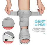 Своины с лодыжкой ног Кронштейн перелома, мететарная кость зафиксирована