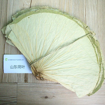 Dried lotus leaf hair 500g large lotus leaf new product launched Shandong Sichuan origin sales glutinous rice chicken rice beggars chicken