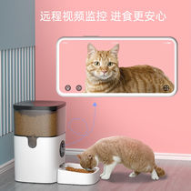 (Voice and video) Automatic cat feeder timed and quantitative smart feeder pet food basin all-in-one machine for dogs