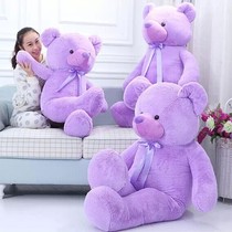 Cute Purple Large Bear Plush Toy Teddy Bear Doll Doll Valentines Day Rag Doll Birthday Gift