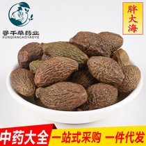 Fat Fat Sea long fruit round fruit bulk sales and retail of origin one-stop purchasing