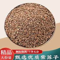 Perilla seed 500g raw perilla seed grains perilla black perilla barbecue seasoning raw materials can be powdered