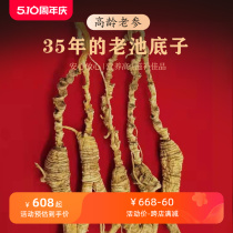 Understory ginseng Changbai Mountain 35-year-old wild ginseng branches wild ginseng pond bottom wild Northeastern bubble wine gift box