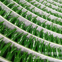 Factory direct sales gold grass sticky gold grass sticky gold blanket gold grass sticky gold cloth gold blanket gold rush blanket