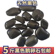 Xinjiang black pebbles stone potted plants landscaping paving courtyard paving garden natural decorative gardening