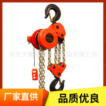 Factory direct sales DHP electric chain hoist inverted chain lifting hoist group crane electric hoist synchronous lifting