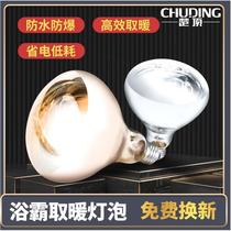 German imported bathroom heater light bulb 275W universal bathroom wall-mounted waterproof explosion-proof bathroom home old