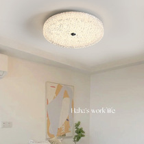 Ceiling lamp living room lamp 2024 new Nordic lamps simple modern atmosphere restaurant lighting creative bedroom lamp