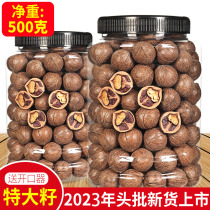 New extra large seeds net weight 500g Linan non-hand peeled pecan small walnut round seed roasted snacks delivery tool