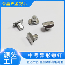 Supply of medium-sized special-shaped rivets bicycle crankset connection rivets 302 non-standard flat head stainless steel rivets