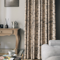 Nordic simple living room light luxury bronzing jacquard velvet blackout thickened heat insulation curtains 2024 bedroom bay window curtain c