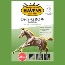 Dutch HAVENS imported professional sports horse mixed feed Yima growth model (pre-sale)