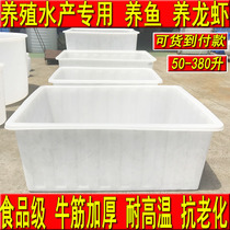 Food grade plastic beef tendon shallow basin fish farming turtle plastic water tank 50-380L aquatic basin dwarf Basin