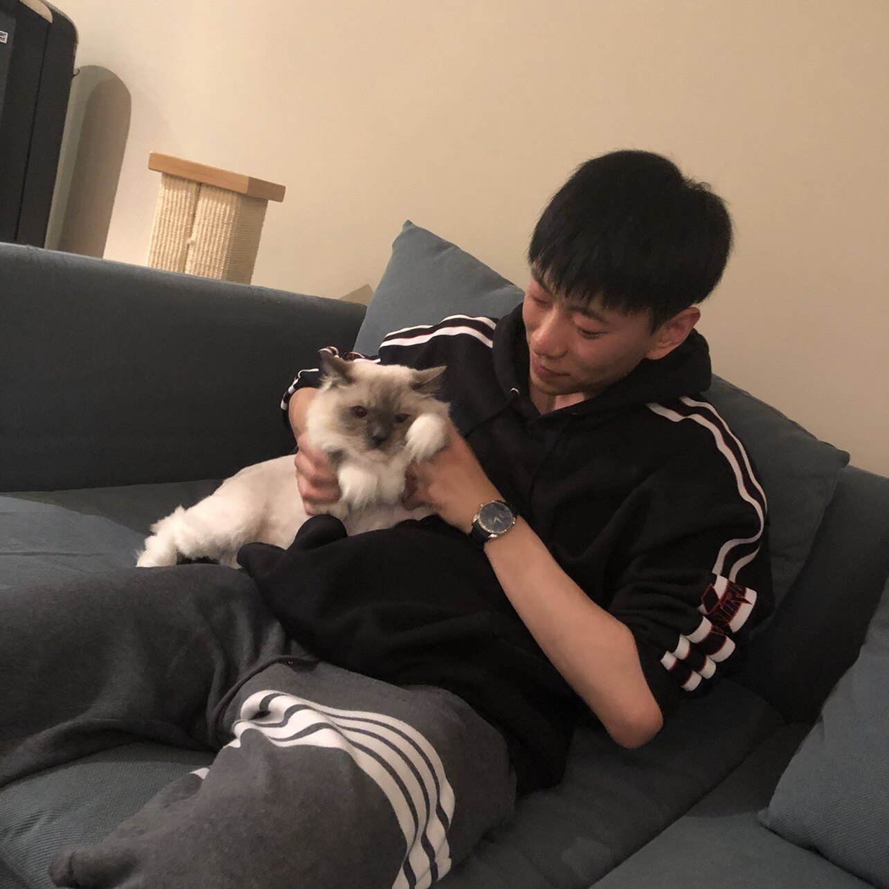 6PL年纪轻轻