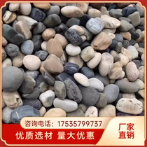Hunan river pebbles river beach stone transformer station pebbles pebbles cobblestone filter material for river pebbles substation