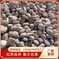 Guangzhou river pebbles river beach stone transformer station natural river pebbles pebble filter material river beach stone garden for substation