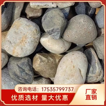 Chongqing River Pebbles Hetanshi Transformer Station Sufficient River Pebbles Large River Pebbles Outdoor Paving Stones Substation
