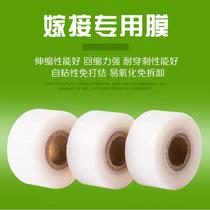 Graft Film Fruit Tree Winding Membrane Graft Special Film Self-Adhesive Graft Free Knotting Transparent Pull Extension Film Packaging Film