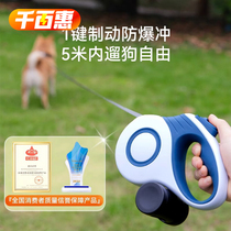 Dog leash dog chain automatic retractable dog leash for outing anti-breakaway medium-sized dog method Shiba Inu anti-explosion