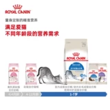 Сбалансированное питание кошки в кошачьи еда в королевском ресторане, чтобы облегчить вонючие