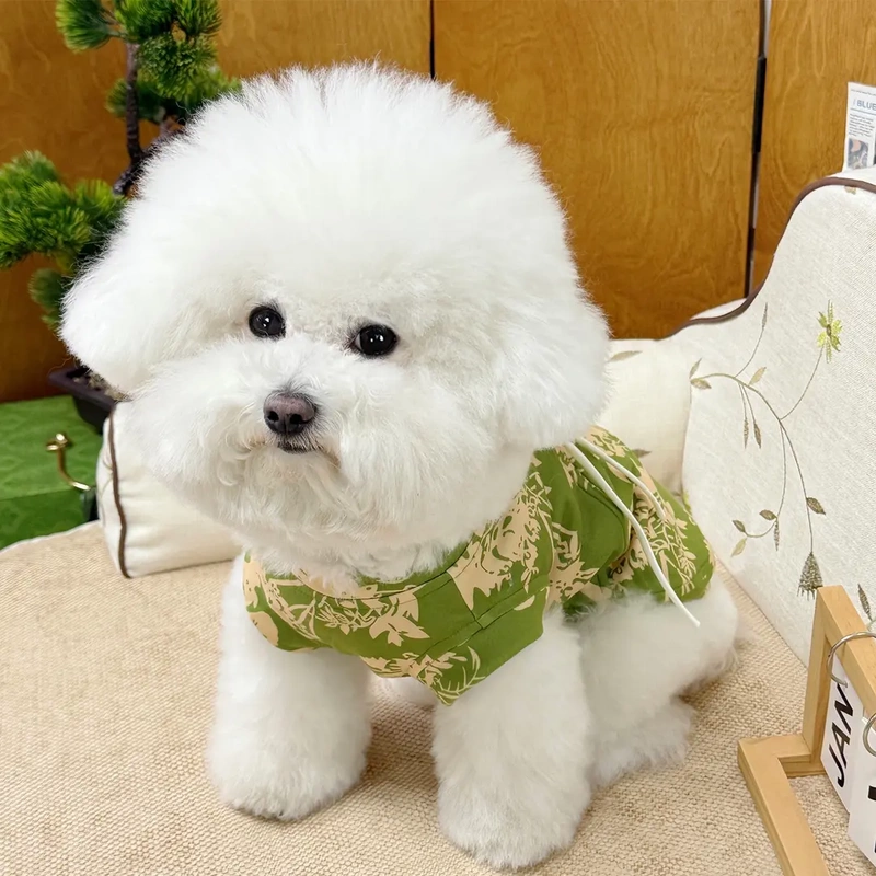 Traditional Style Velvet Cotton Pet Dog and Cat Spring Clothing, Chinese Trendy Spring Aqua Green Teddy Bichon Leash-Compatible Vest