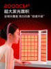 Joonbon Junbao Large Panel Light Beauty Device for Home Use, Acne Removal, Photon Skin Rejuvenation, Red and Blue Light Mask, Facial Mask, Spectrometer