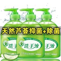 Aloe Vera Hand Sanitizer 500g Natural Fragrance Foam Rich Medical Childrens Moisturizing Cleaning Nozzle Household Bottle