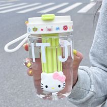 High-looking water cup 2024 new girls tea cup double drink cup with straw student cute handle tumbler