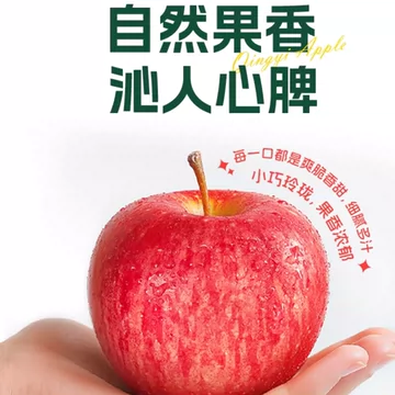 青怡陕西洛川红富士4.5斤