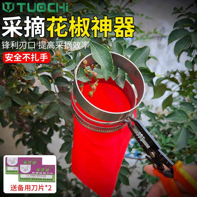 摘花椒神器园艺剪刀修枝剪葡萄专用疏果剪果树采水果修花蔬果剪刀