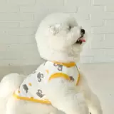 Летний замок, осенний жилет, домашний питомец, кот