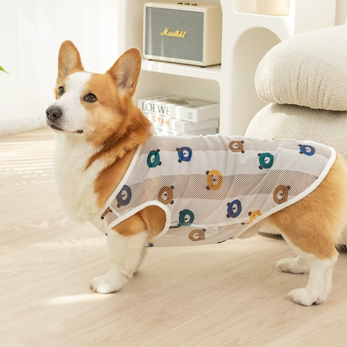 Солнцезащитный крем Корги Одежда летнее тонкое стиль