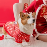 Новый год праздничная одежда Special Puppy Special Press для весенней одежды для собак с собаками среднего размера.