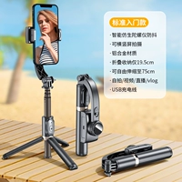 Стандартная модель входа [AI Smart Stabilization+All -In Trhar Shelter+Dreaming Space+видео фотографий]