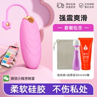 [Главное землетрясение] Применение небольшой программы прыгает яйцо+сумка для хранения+смазка 30 мл+AV Stick