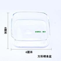 Glass feeding basin crystal shrimp ornamental shrimp snail feed plate sinking bottom fish food spinach crawling pet shrimp bowl fish tank aquarium