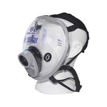 Haitian Guarantee Mask 800 mask full cover dust - proof paint chemical (excluding filter parts) new and old package