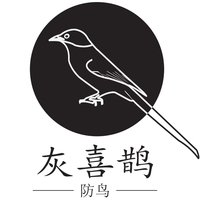 灰喜鹊防鸟