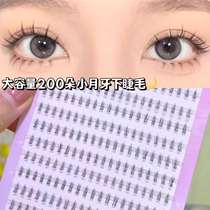 Cute Ciliary angpin Small Crescent Eyela Natural Tassel Clus