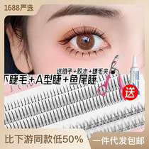 Eyela Beauty Makeup Type A Fi Tail Lower Eyela Mixed Pac