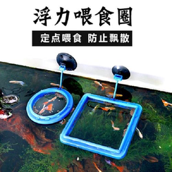 Parrot Fish Turtle Fish Tank Fish Food Floating Feeding Circle Suspended Fish Feeding Circle Koi Large Aquarium Floating