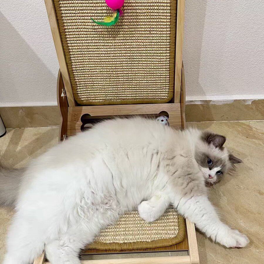 喵音符宠物用品