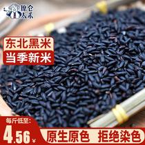 Northeast black rice 2024 new rice breakfast black rice porridge rice farm-grown grains black fragrant rice vacuum packaging
