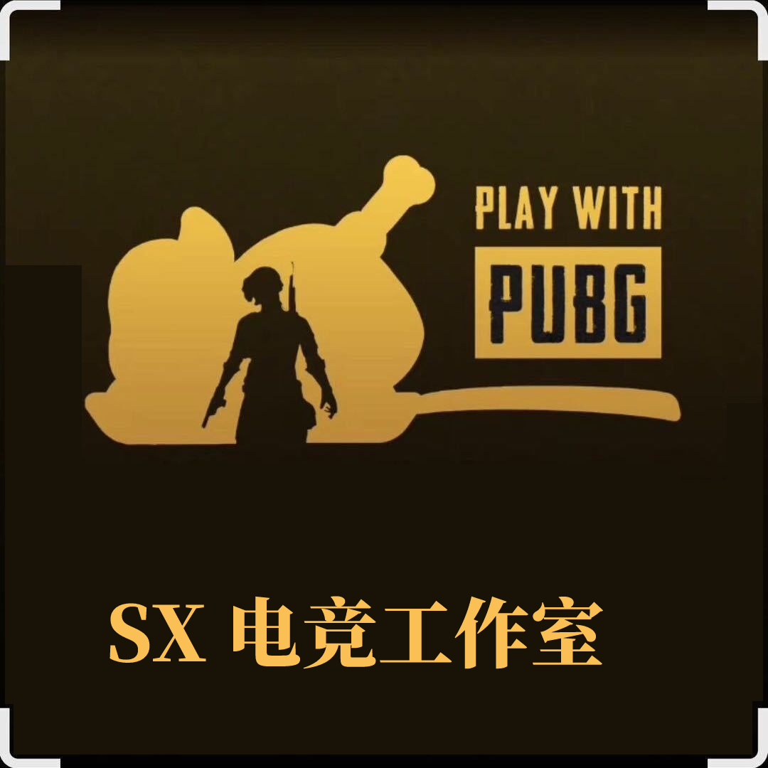 SX电竞工作室的LOGO