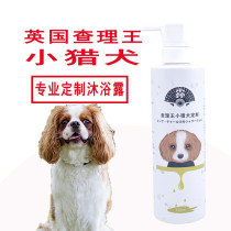 Japans King Charles Spaniel Shower Gel 500ml is specially designed to kill mites remove bacteria remove odor and beautify the hair.