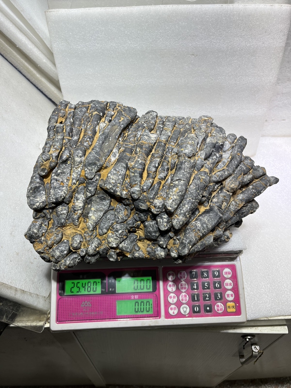 A 12.7kg Gram Premium Quality Coral Fossil Stone, Natural and Non-Magnetic