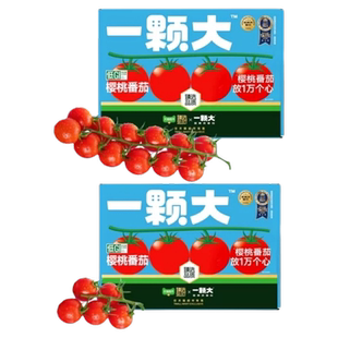 一颗大玲珑红小串精品番茄650g礼盒装