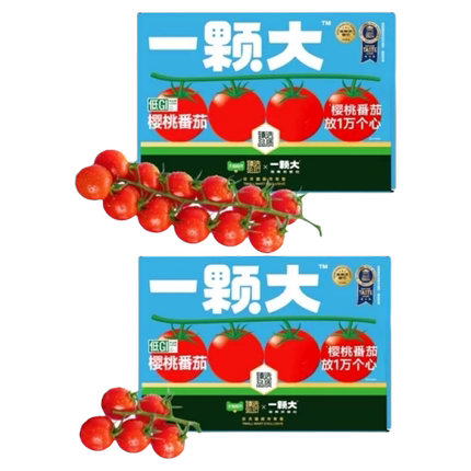 臻选小串番茄精品一颗大礼盒装酸甜爆汁基地直发