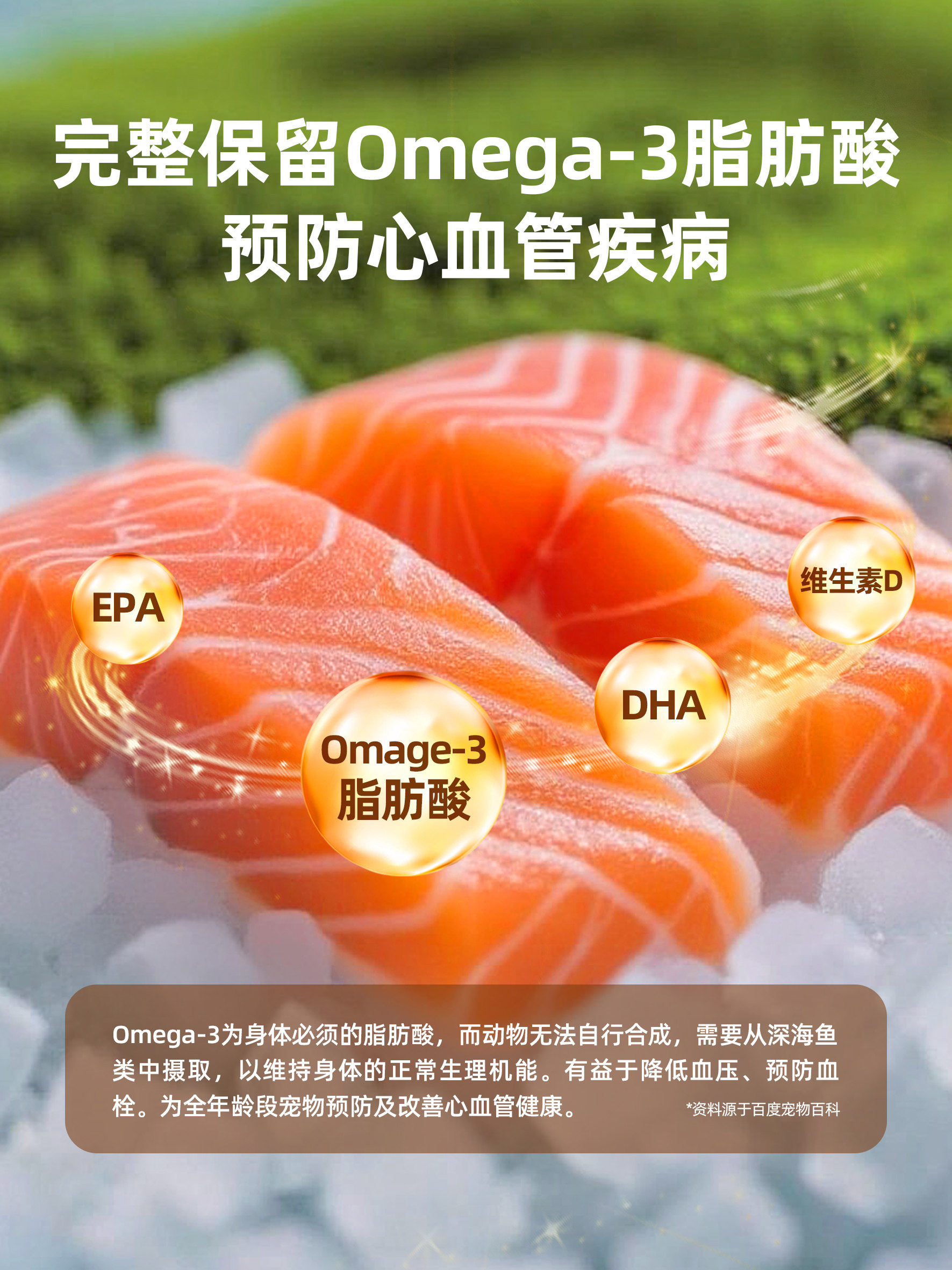 Freeze-Dried Salmon Chunks, Nutritional Supplement Fish Bites with Fish Oil, Air-Dried Training Food Mix, Cat Food Companion, Pet Cat Snacks